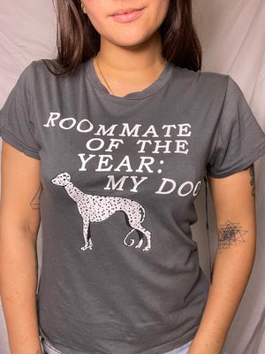 NEW Wildfox roommate tee, Size XS